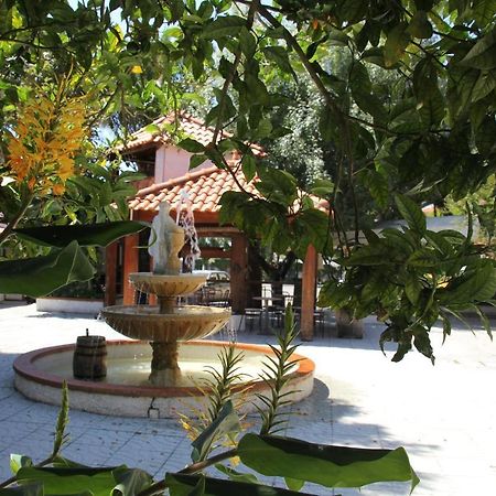 אבאירו Hotel Joao Capela מראה חיצוני תמונה