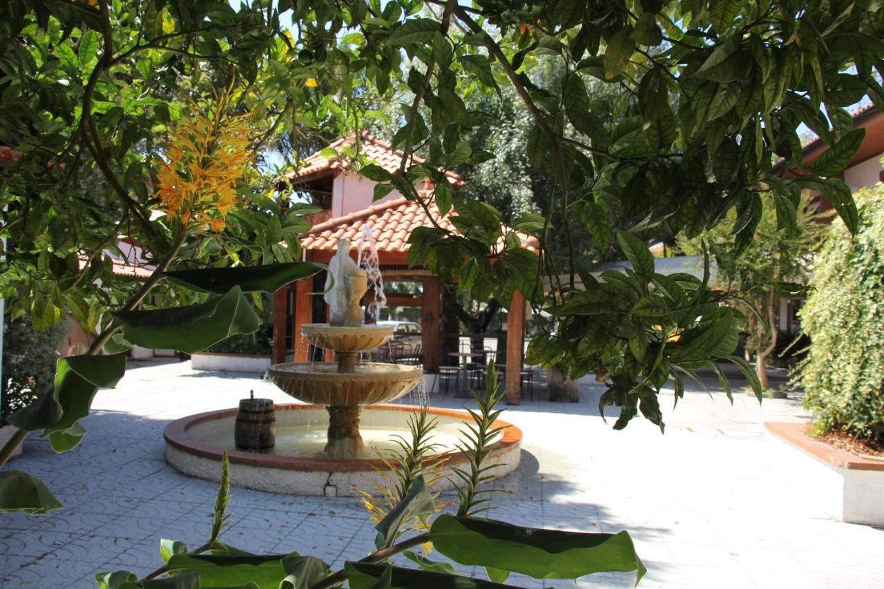 אבאירו Hotel Joao Capela מראה חיצוני תמונה